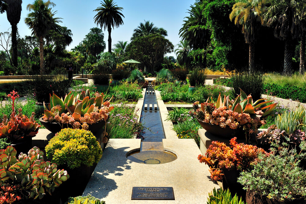 Le Meraviglie Degli Huntington Botanical Gardens Di Pasadena Federica Cornalba